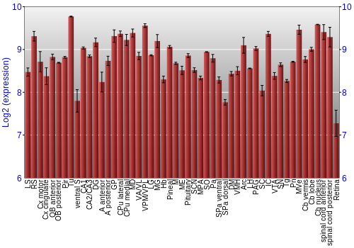 Expression graph