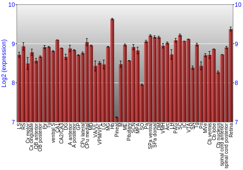 Expression graph