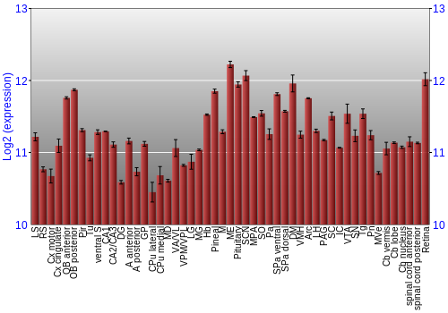 Expression graph