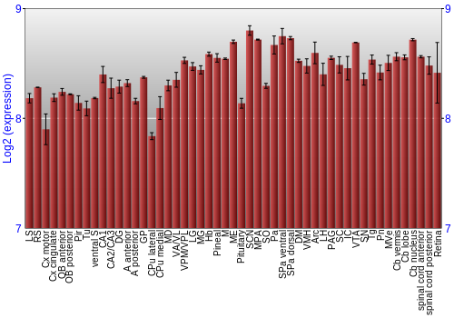 Expression graph