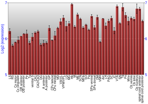Multi-state expression graph