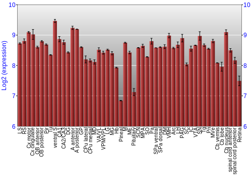 Expression graph