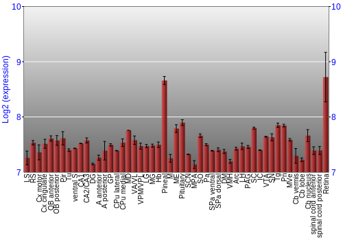 Expression graph