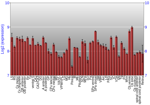 Expression graph