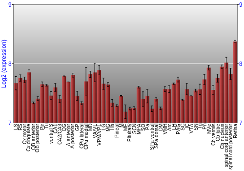 Expression graph