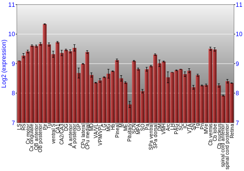 Expression graph