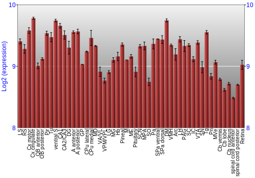 Expression graph