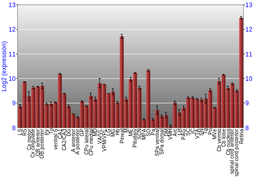 Expression graph