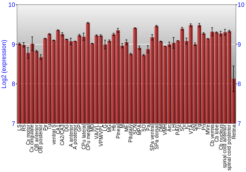 Expression graph