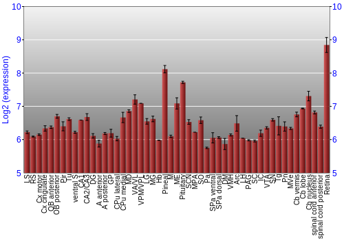 Expression graph
