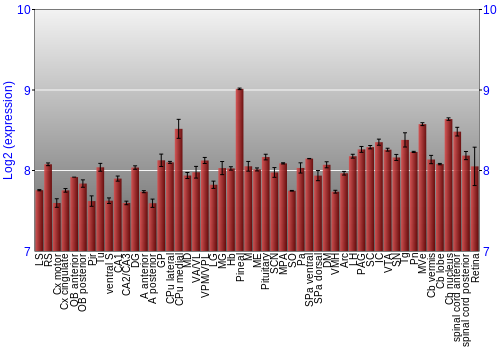 Expression graph