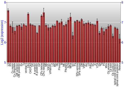Expression graph