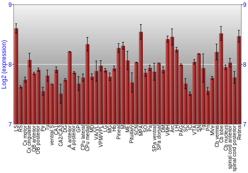 Expression graph
