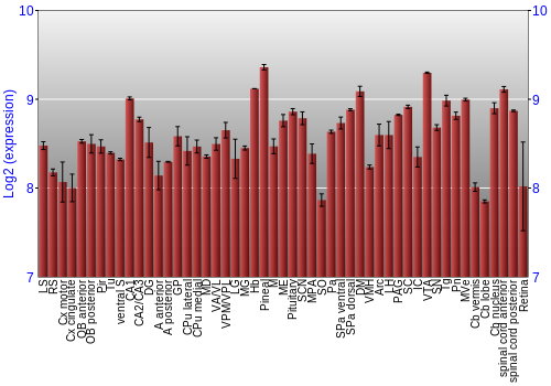 Expression graph