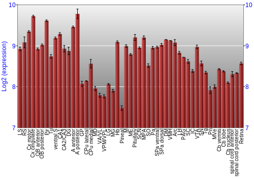 Expression graph