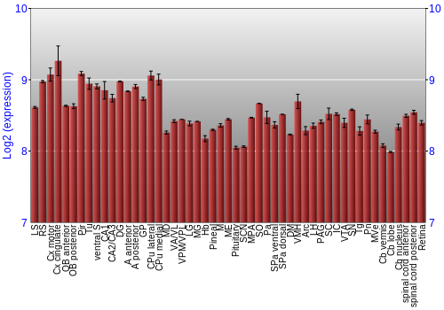 Expression graph