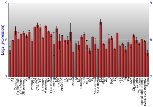 Expression graph