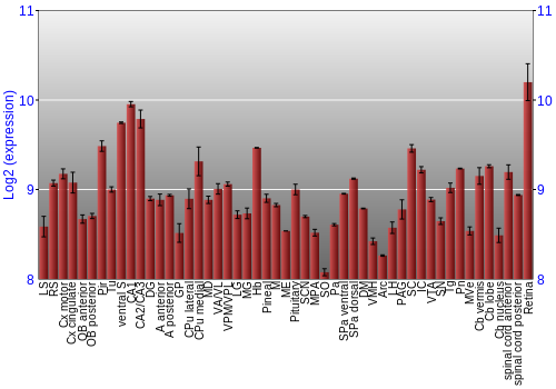 Expression graph