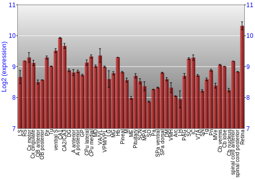 Expression graph