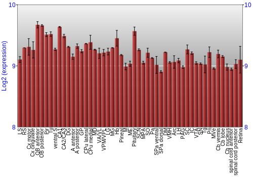 Expression graph