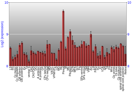 Expression graph