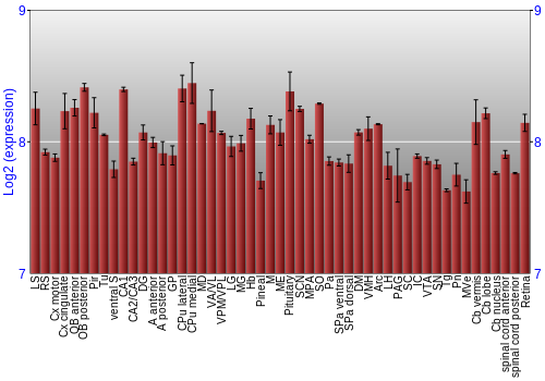 Expression graph