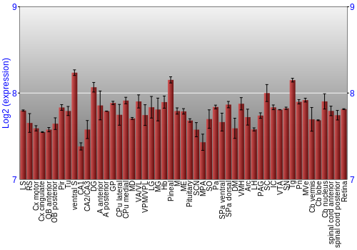 Expression graph
