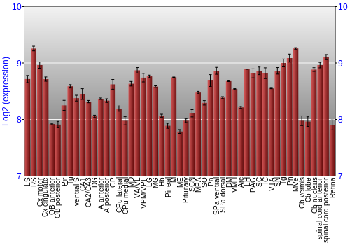 Expression graph
