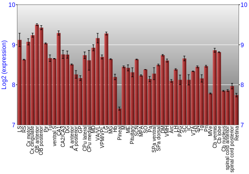 Expression graph