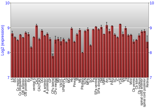 Expression graph