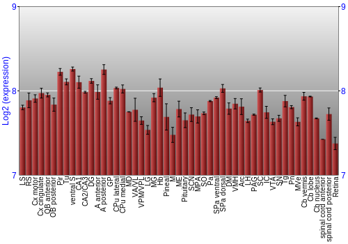 Expression graph