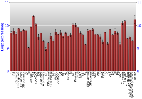 Expression graph