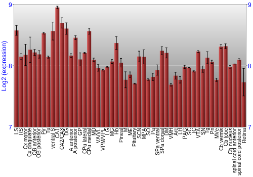 Expression graph