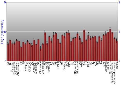 Expression graph