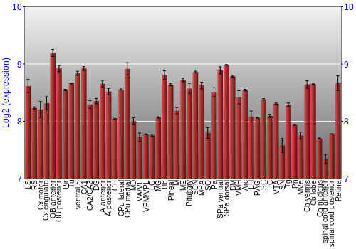 Expression graph