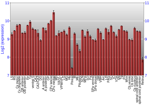 Expression graph
