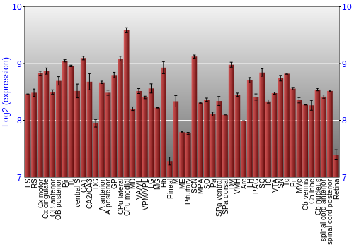 Expression graph