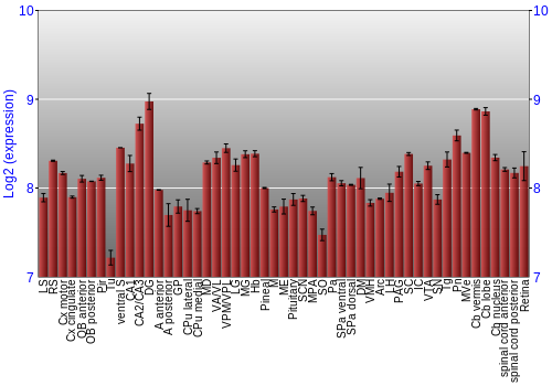 Expression graph