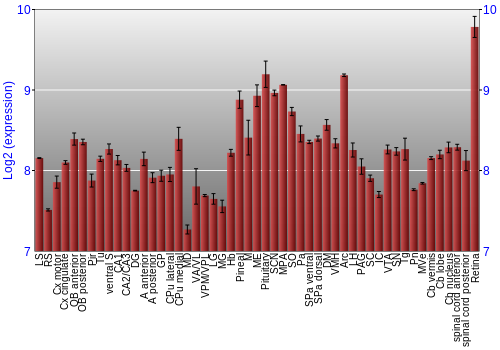 Expression graph