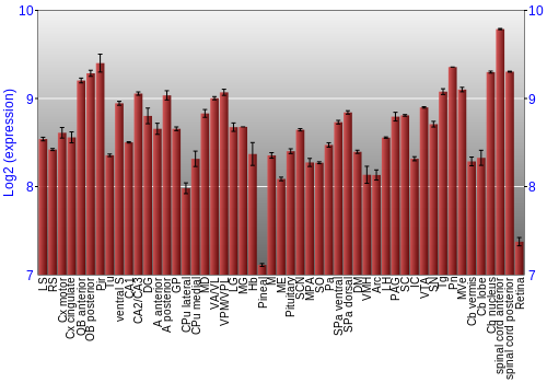 Expression graph