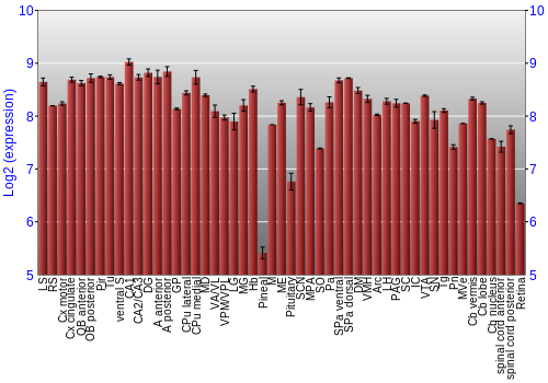 Expression graph