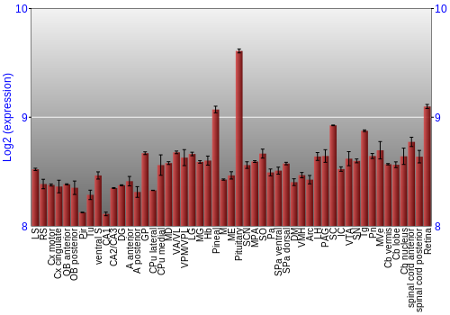 Expression graph