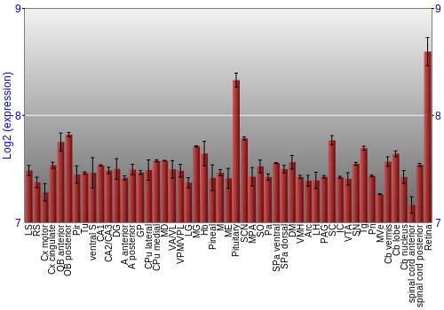 Expression graph