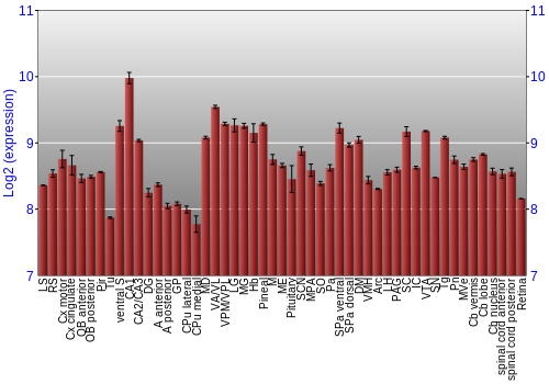 Expression graph
