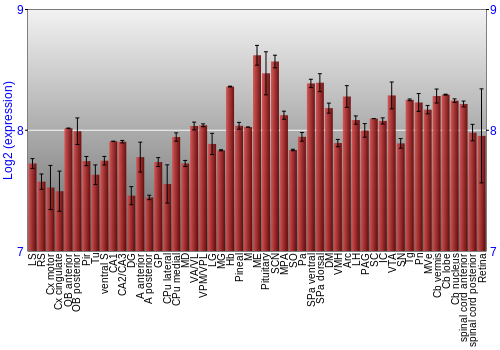 Expression graph