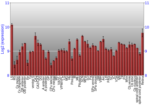 Expression graph