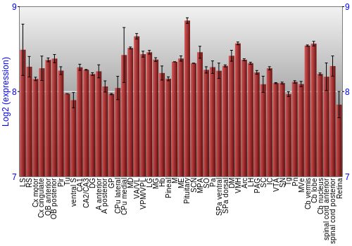 Expression graph