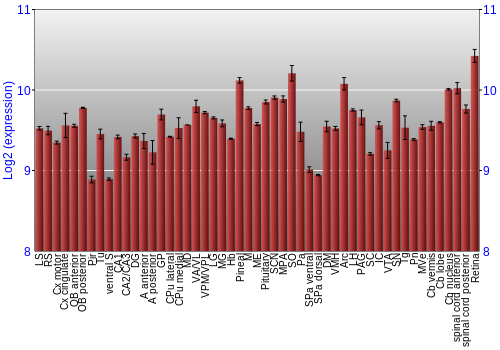 Expression graph