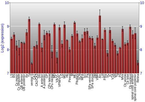 Expression graph