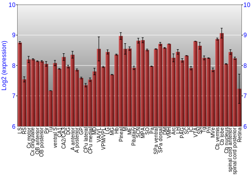 Expression graph
